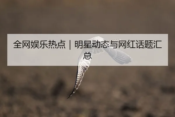 全网娱乐热点｜明星动态与网红话题汇总